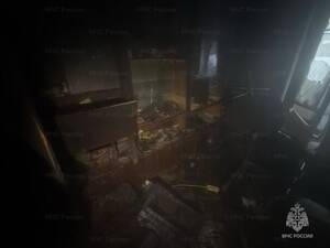 При пожаре в квартире многоэтажки по улице Фрунзе в Брянске спасли человека