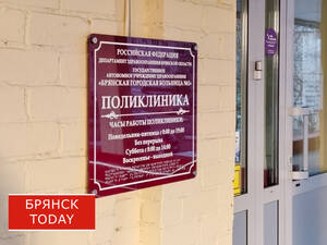 Заболеваемость гриппом и ОРВИ в Брянской области достигла пика