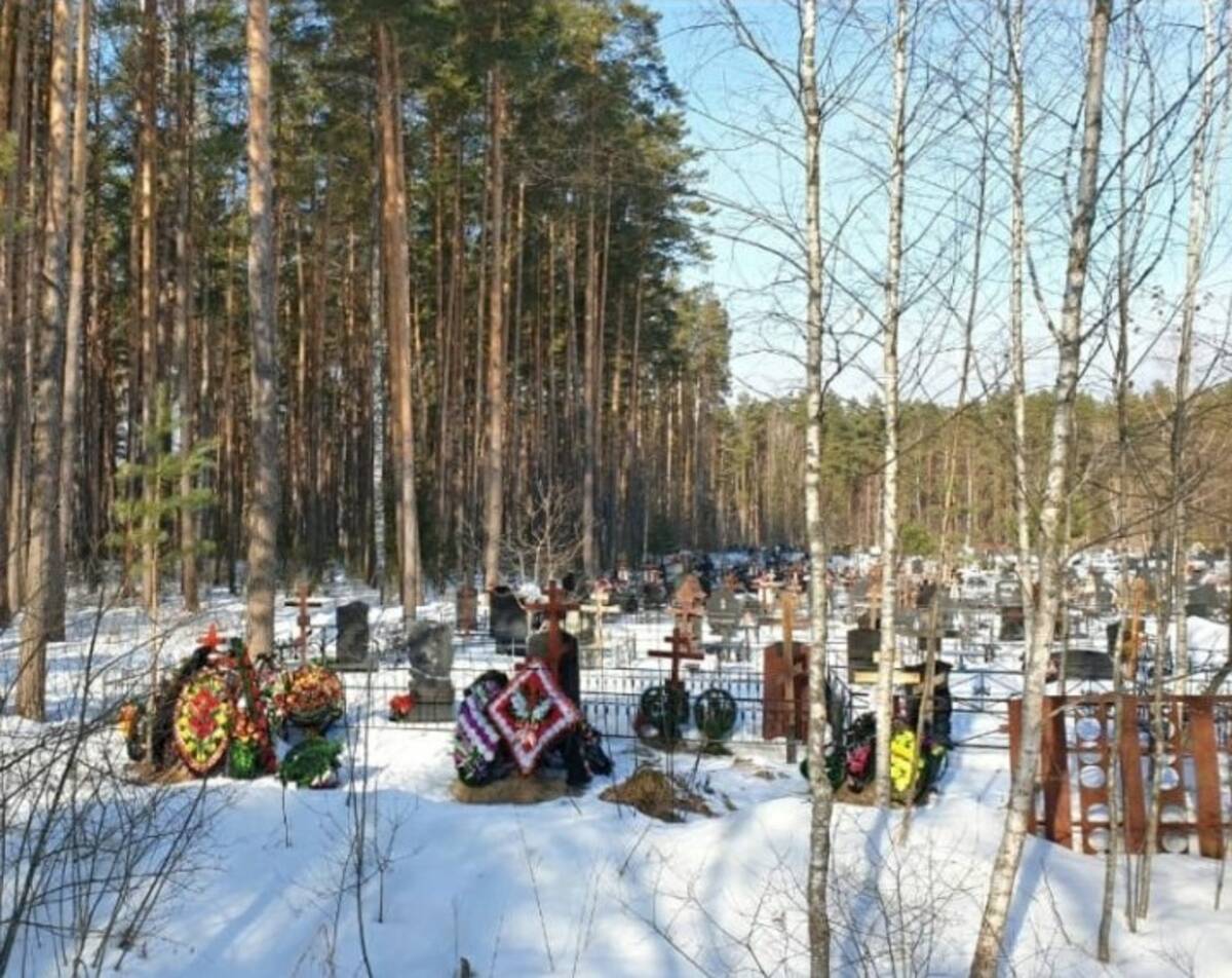 В Брянске кладбище в поселке Белые Берега расширят на 4,2 гектара |  28.02.2023 | Брянск - БезФормата