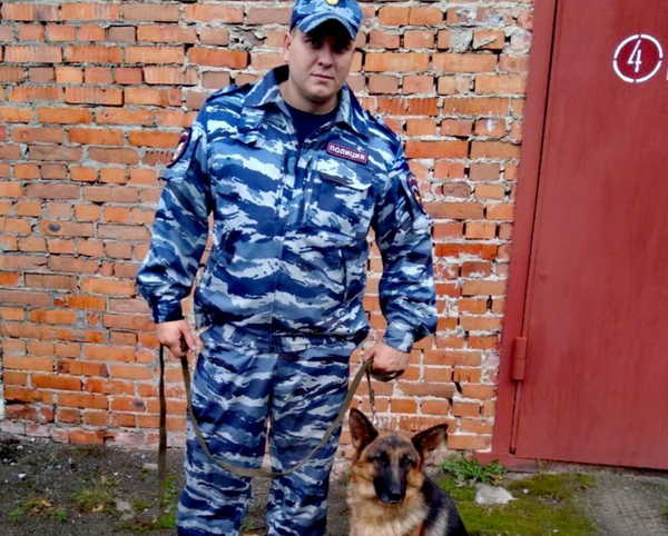 В Брянской области собаки Вита и Люта задержали двух преступников 