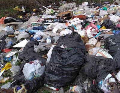 В Брянске сняли на фото мусорный апокалипсис в лесу