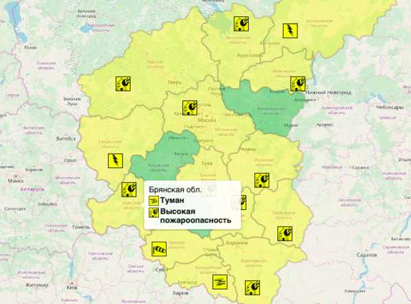 В Брянской области из-за жары объявили «желтый» уровень опасности