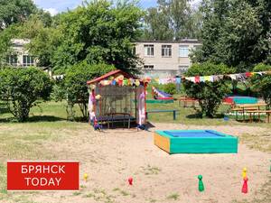 Брянские приставы взыскали 13 миллионов рублей алиментов 