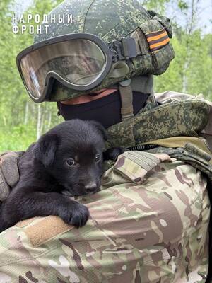 Брянский пограничник спас щенка по кличке Дружок