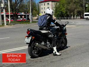 За год в Брянске в ДТП с мотоциклами погибли 3 человека