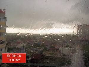Жители брянского приграничья из-за урагана остались без света