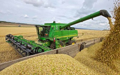 В Брянской области намолочено уже почти миллион тонн зерна