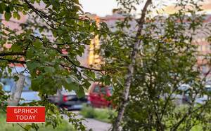 Лето попрощается с брянцами жаркой и сухой погодой
