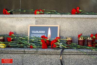 Глава региона рассказал об оперативной помощи при ударах по Брянщине