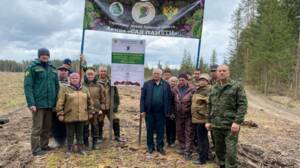 «Сад памяти» объединил лесников, прокуроров и добровольцев в Дубровском районе