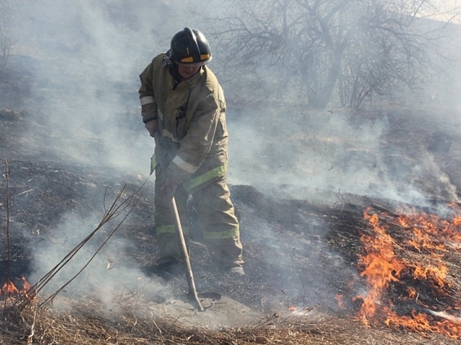 На Брянщине пожарные в воскресенье 63 раза тушили горящую траву
