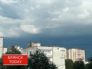 МЧС предупредило брянцев о резком ухудшении погоды