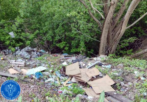 Властей Брянска обязали ликвидировать свалку на Крапивницкого