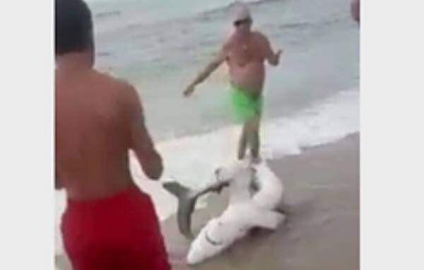 Отдыхающие вытащили акулу из воды ради фотографии