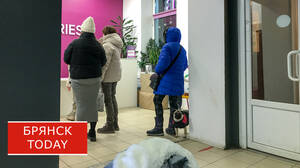 В Клинцовском районе курьера маркетплейса обвинили в краже трёх телефонов