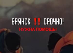Брянцев просят помочь в поисках утонувших в Десне детей