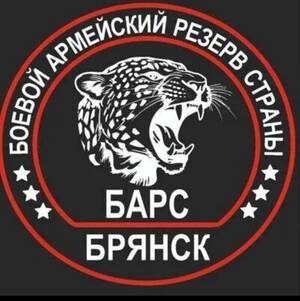 Добровольный отряд «БАРС-Брянск» отмечает первый год службы