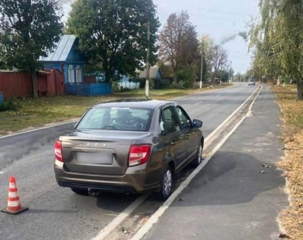 Брянский водитель разбил автомобиль, чтобы спасти собаку