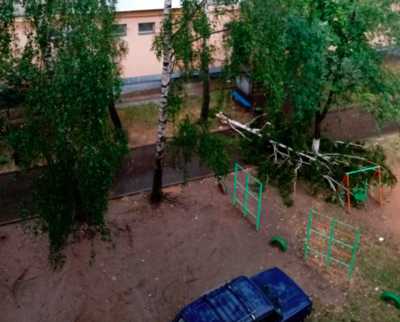 В Клинцах во дворе многоэтажки из-за сильного ветра упало дерево