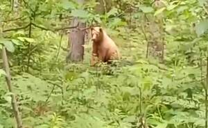 В заповеднике 