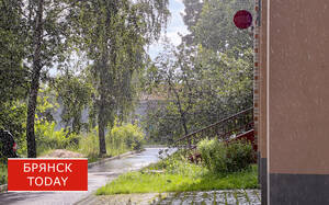 Грозовые ливни начнут освежать атмосферу в Брянской области