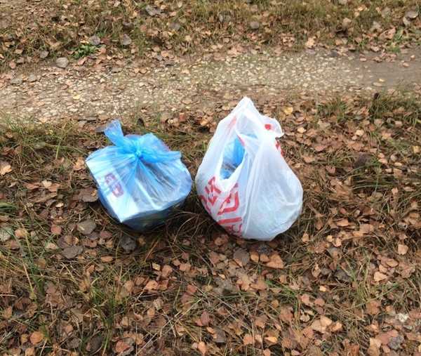 В Климове наглый водитель «Фольксвагена» выбросил мусор в лесу