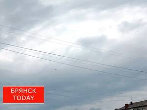 В Климово зафиксировали атаку FPV-дронов