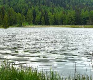 Труп 62-летнего мужчины подняли из озера Прудок под Клинцами