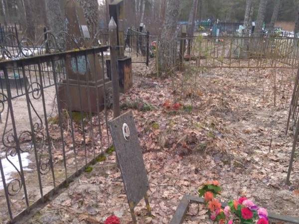 В Карачевском районе с кладбища украли кресты и ограды