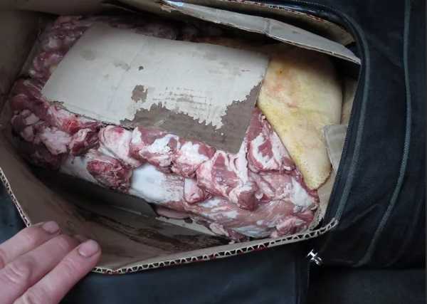 На Брянщине усилили контроль за ввозом свинины из Украины