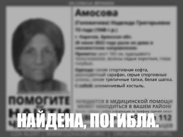 Пропавшую в Брянской области 73-летнюю женщину нашли погибшей