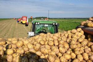 Эксперты разбираются с ценами на картофель в Брянской области