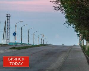 Под Брянском на дороге обнаружили труп мужчины, полиция ищет очевидцев