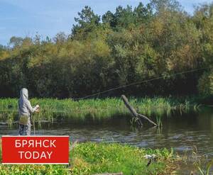В Брянской области рыбак задел удочкой провода и едва не погиб