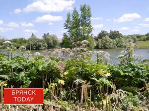 Брянским дачникам рассказали о важных изменениях с 1 марта