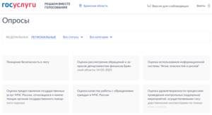 Жители Брянской области могут голосовать на Платформе обратной связи