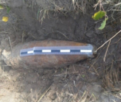 В лесу на окраине брянского села нашли артиллерийский снаряд