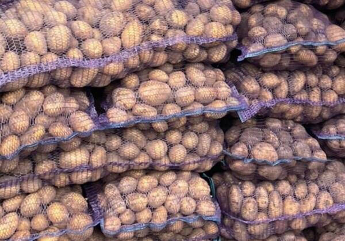 В Брянске подешевевший картофель начали доставлять на дом