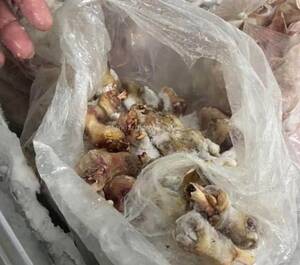 Рядом с Брянской областью торговали шаурмой с непонятным мясом