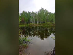 Линей и карпов запустили рыбаки в водоём Новозыбкова