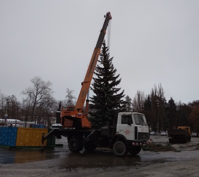 В Брянске у ДК БМЗ установили новогоднюю елку