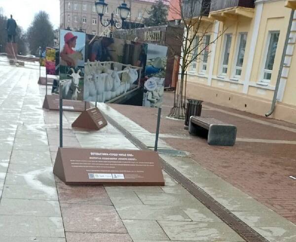 На бульваре Гагарина в Брянске сильный ветер повалил все инсталляции