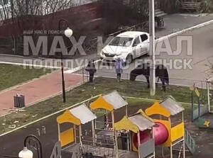 Стали известны подробности ЧП с лошадью и ребёнком в Володарке