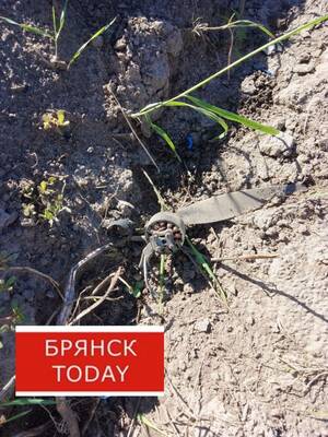 В Брянской области на огороде взорвался фпв-дрон