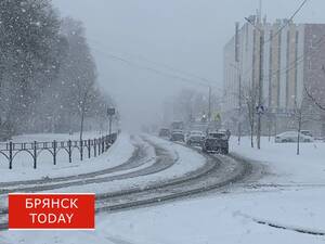 Брянцев предупредили об аномальном похолодании