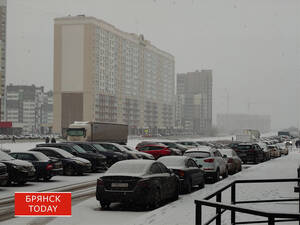 Жёлтый уровень погодной опасности ввели в Брянской области