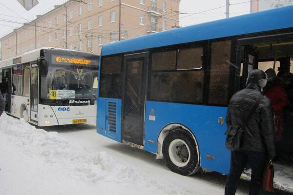В Брянске насчитали 265 автобусов и 96 троллейбусов