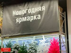 В Брянске увеличено количество ёлочных базаров по просьбам жителей