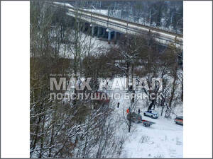 Соцсети: двое детей могли провалиться под лёд в Брянске 