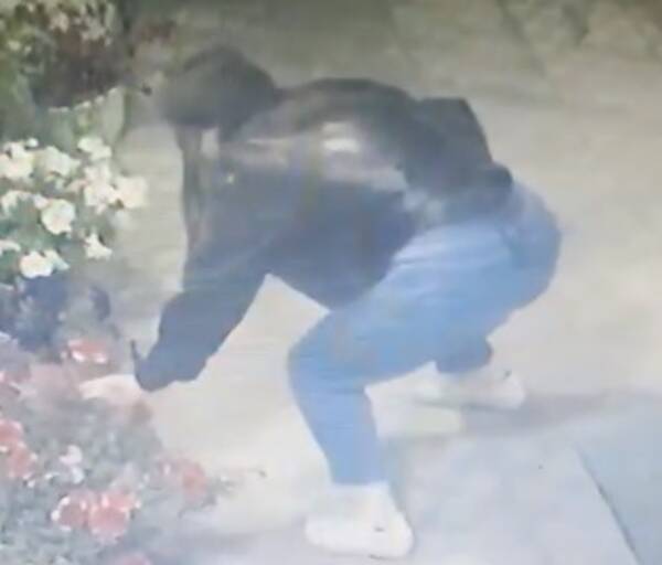 В Сураже ночью девушка украла цветы и стала героиней соцсетей